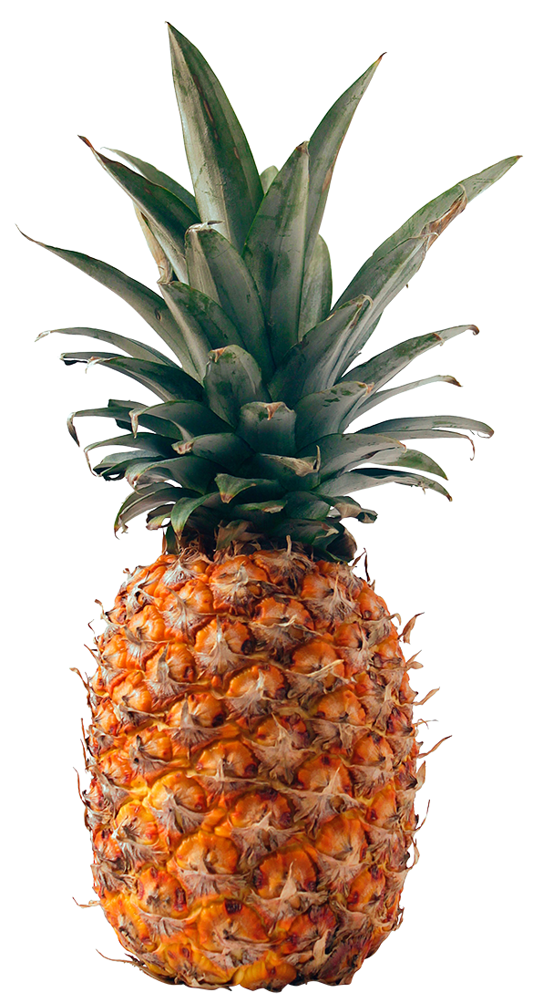 pineapple images, pineapple png, pineapple png image, pineapple transparent png image, pineapple png full hd images download